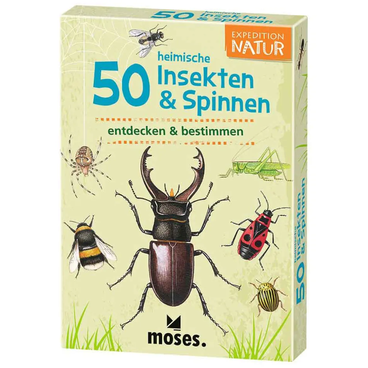Moses Kartenset - 50 heimische Insekten & Spinne "Expedition Natur"