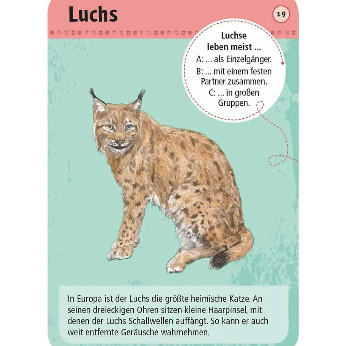Moses Kartenset 50 heimische Wald- & Wildtiere "Expedition Natur"