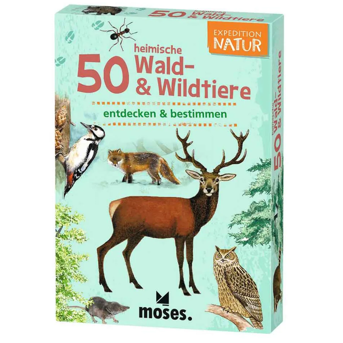Moses Kartenset 50 heimische Wald- & Wildtiere "Expedition Natur"