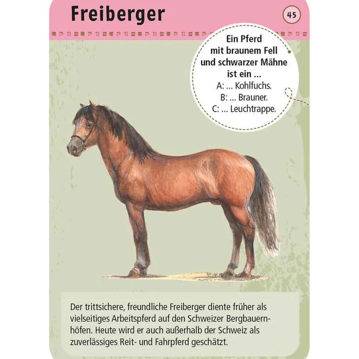 Moses Kartenset 50 Pferde & Ponys "Expedition Natur"