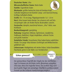 Moses Kartenset 50 Tiere der Nacht "Expedition Natur"