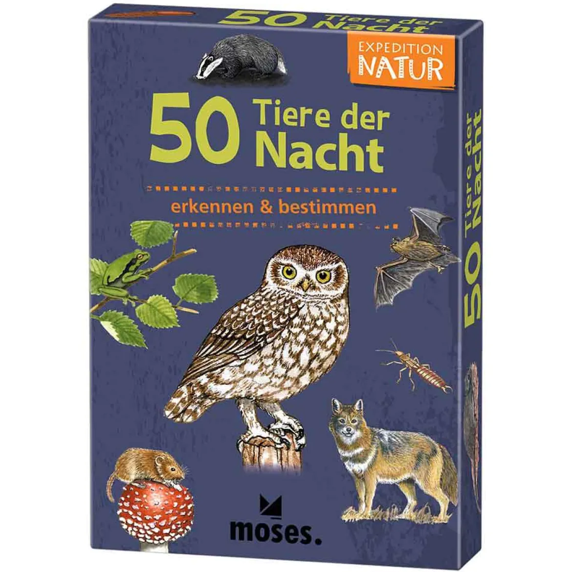 Moses Kartenset 50 Tiere der Nacht "Expedition Natur"