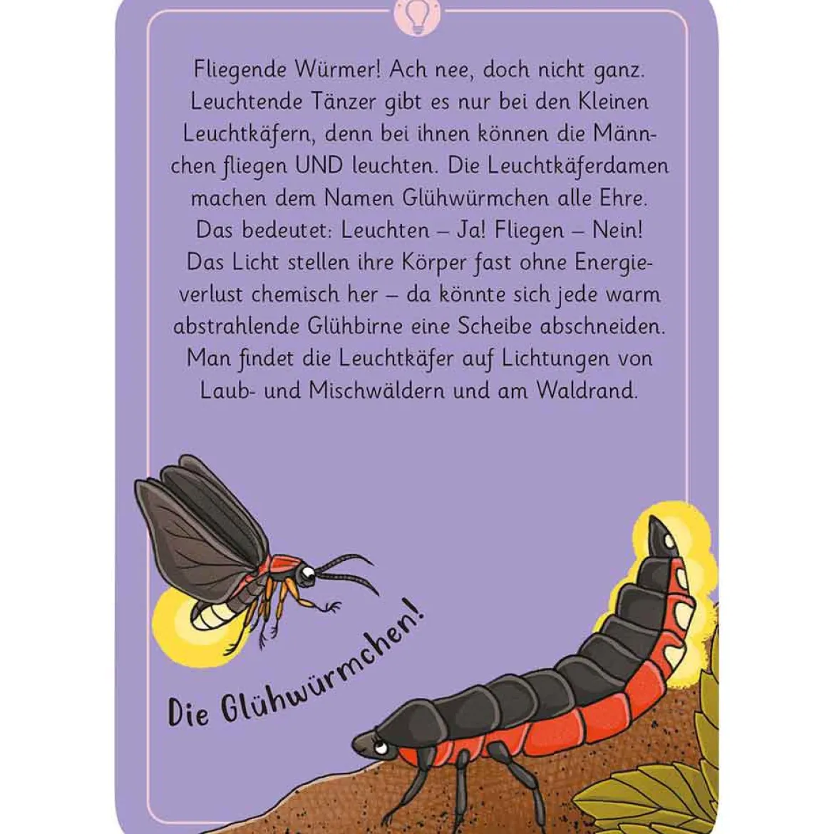 Moses Kartenset 50 Tierrätsel - Wald "Expedition Natur"