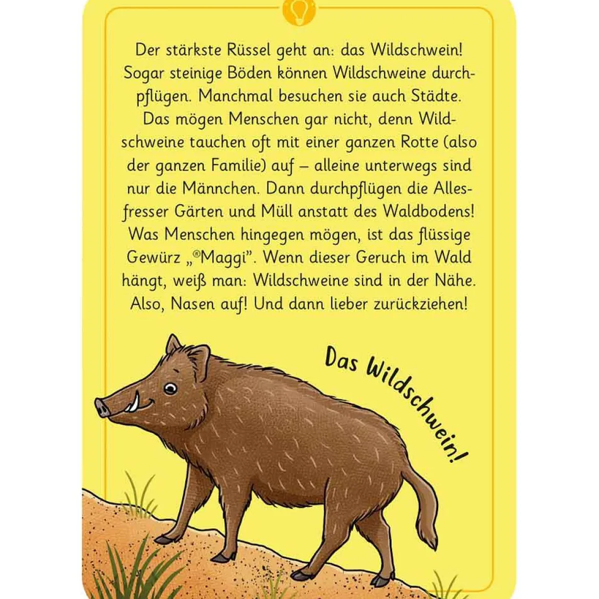 Moses Kartenset 50 Tierrätsel - Wald "Expedition Natur"