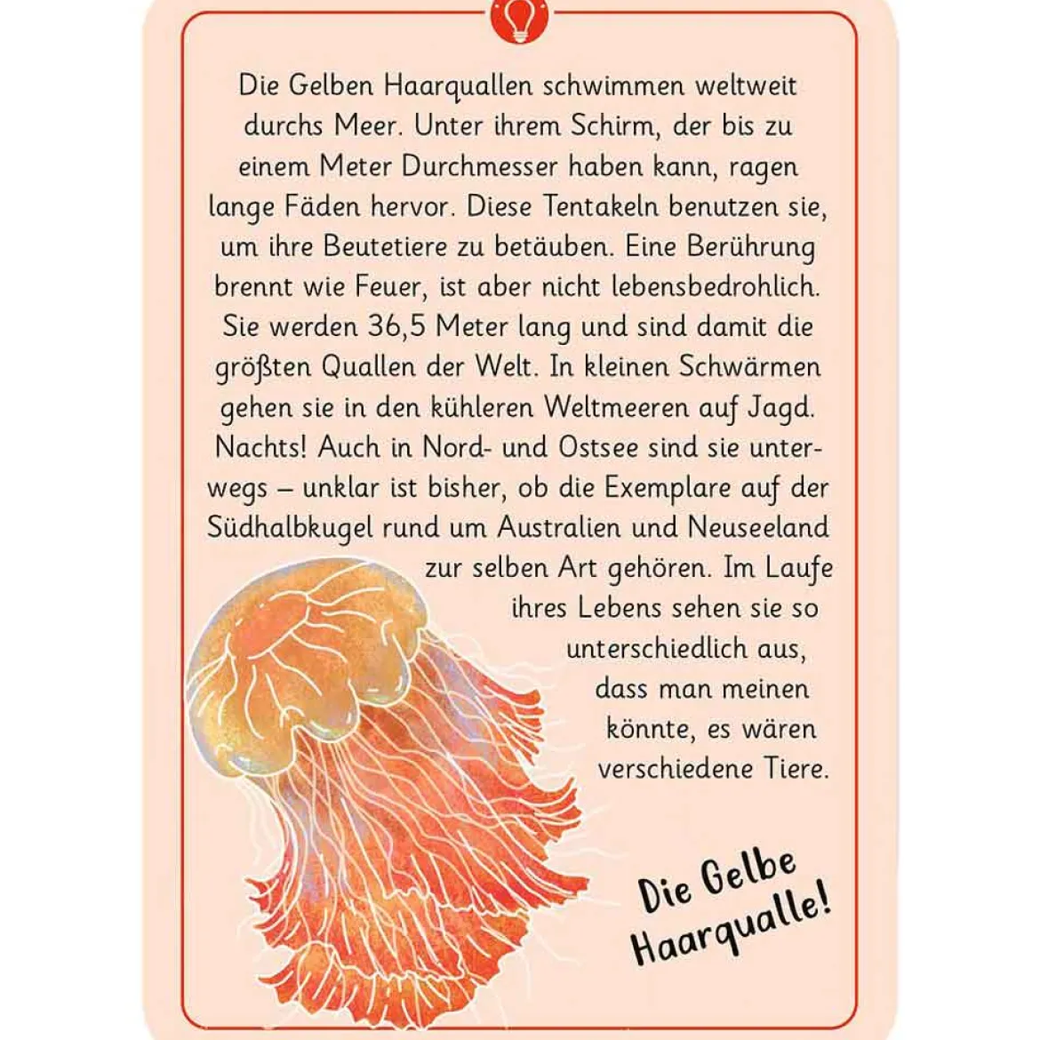 Moses Kartenset 50 Tierrätsel - Rekorde "Expedition Natur"