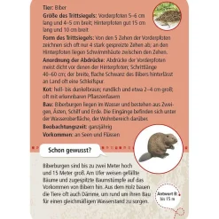 Moses Kartenset 50 Tierspuren
