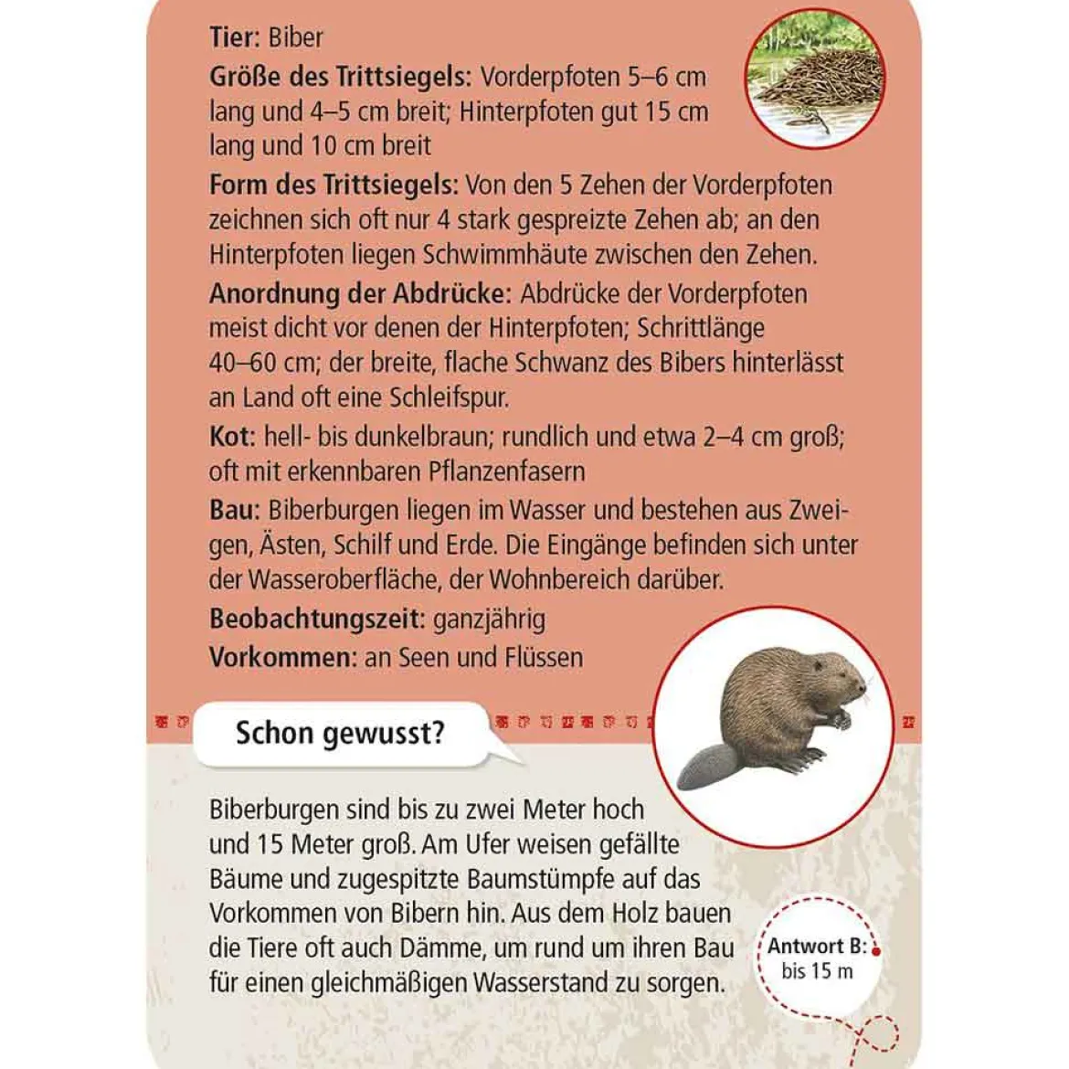 Moses Kartenset 50 Tierspuren "Expedition Natur"