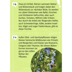 Moses Mein Garten-Forscherquiz 