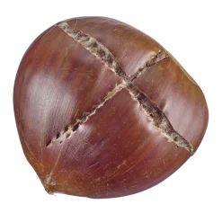 Westmark Maronenschneider