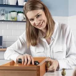 Wiha E-Schraubendreher Set "zaiHause" 11-teilig